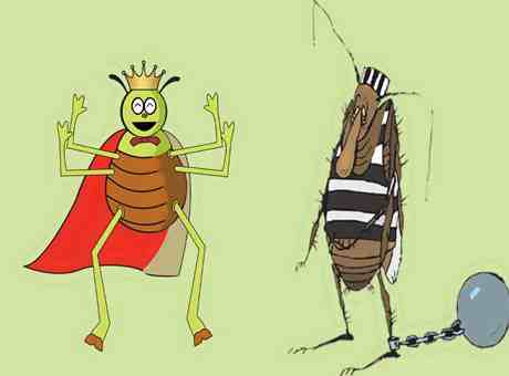 The Bug And The Poor Flea Story In Hindi