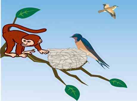 the sparrow and the monkey panchatantra story in hindi गौरैया और बंदर कहानी पंचतंत्र ~ मित्रभेद | The Sparrow And The Monkey Story In Hindi Panchatantra Story