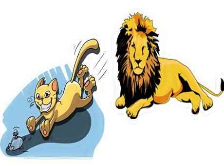 a lion a mouse and a cat hitopadesha tale in hindi अंधा गिद्ध और दुष्ट बिल्ली की कहानी : हितोपदेश | The Blind Vulture Story Hitopadesha