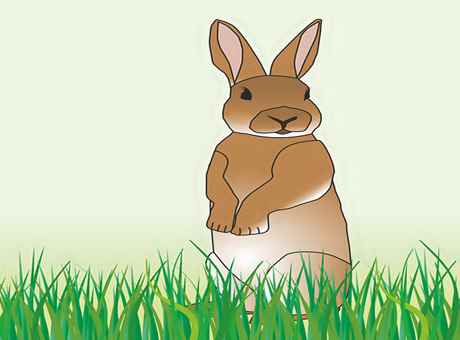The Rabbit And His Ears Story For Kids In Hindi