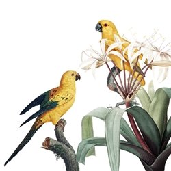 Bird Stories In Hindi