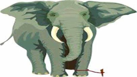 elephant and the rope story in hindi scaled हाथी और रस्सी की कहानी | Elephant And The Rope Story In Hindi