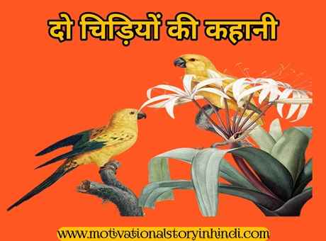 A Tale Of Two Birds In Hindi